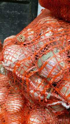 【新鮮蒜廠家直銷2017跑江湖地?cái)偀豳u農(nóng)家大蒜10元3斤模式新鮮大蒜SC12343456SC1234 3456】金牛區(qū)坤億商貿(mào)部 - 產(chǎn)品庫