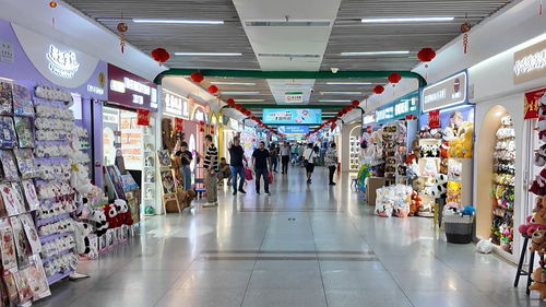 財經(jīng)觀察 總花費增速超出游人次 今年五一消費何以 旺丁又旺財