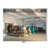 廣州與佛山柴油發(fā)電機(jī)組廠家 能源行業(yè)的可靠供應(yīng)商