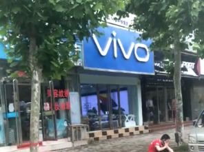 溫州商貿城臨街門面，260萬元投資背后的機遇與挑戰